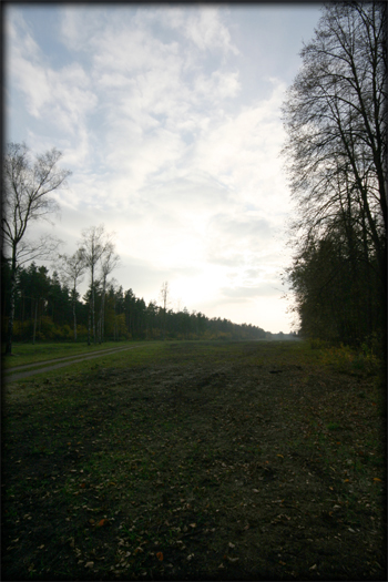 Camp Area