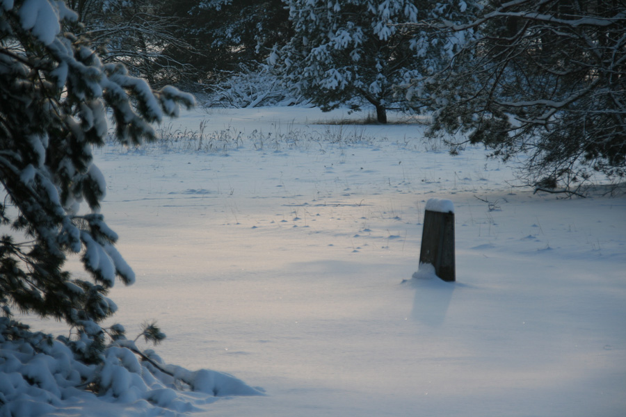 Camp Area