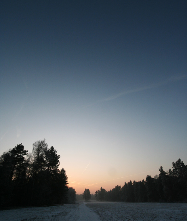 Camp Area