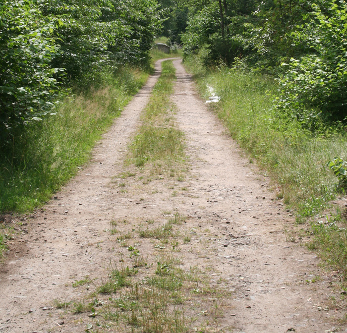 Camp Area