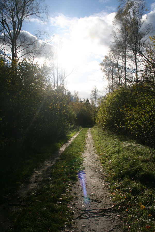 Camp Area