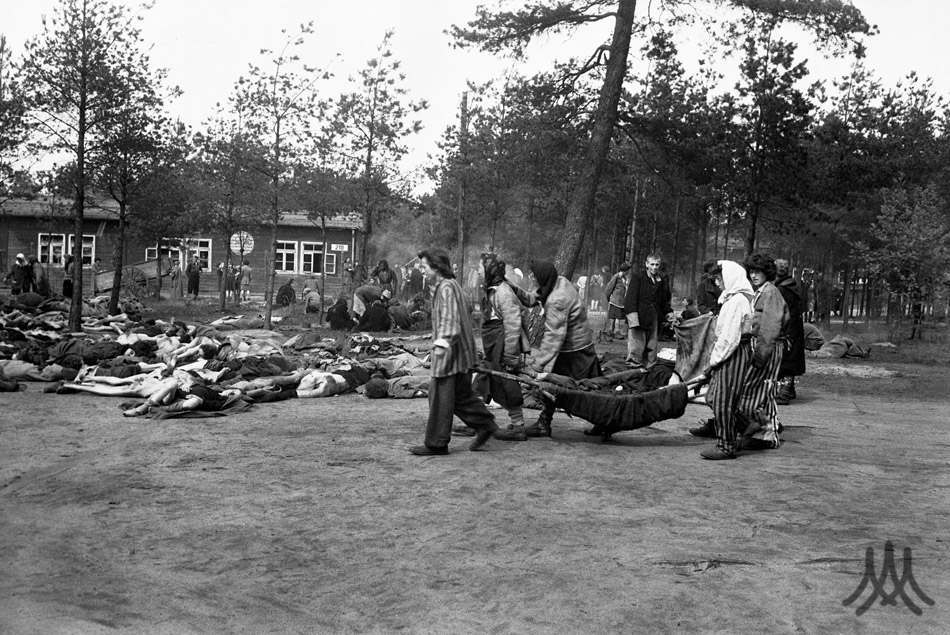 Camp Area