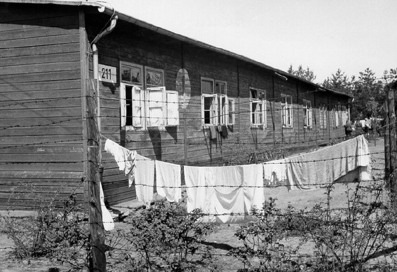 Camp Area