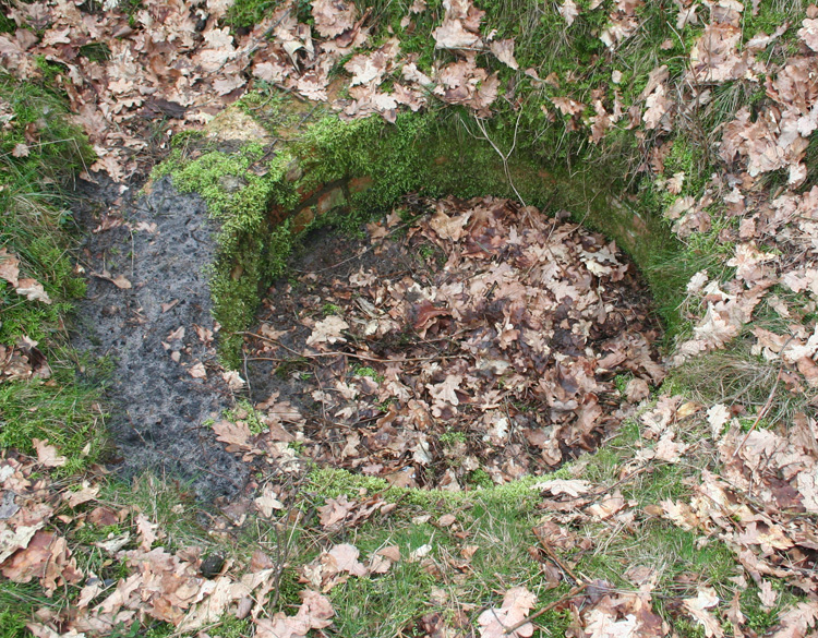 Camp Area