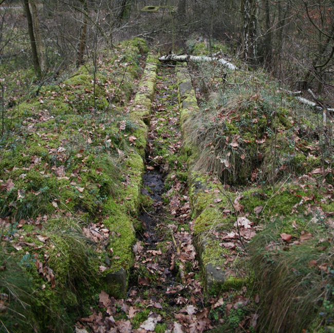 Camp Area