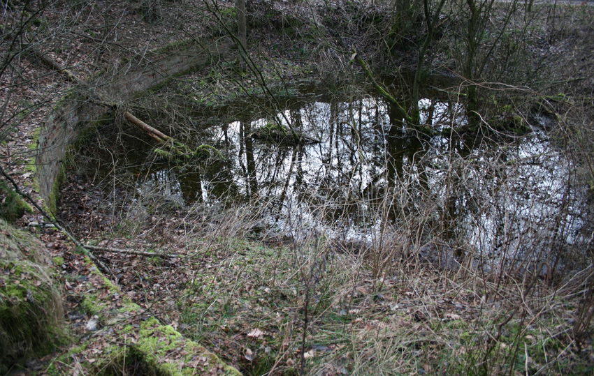 Camp Area