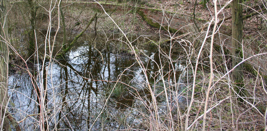 Camp Area