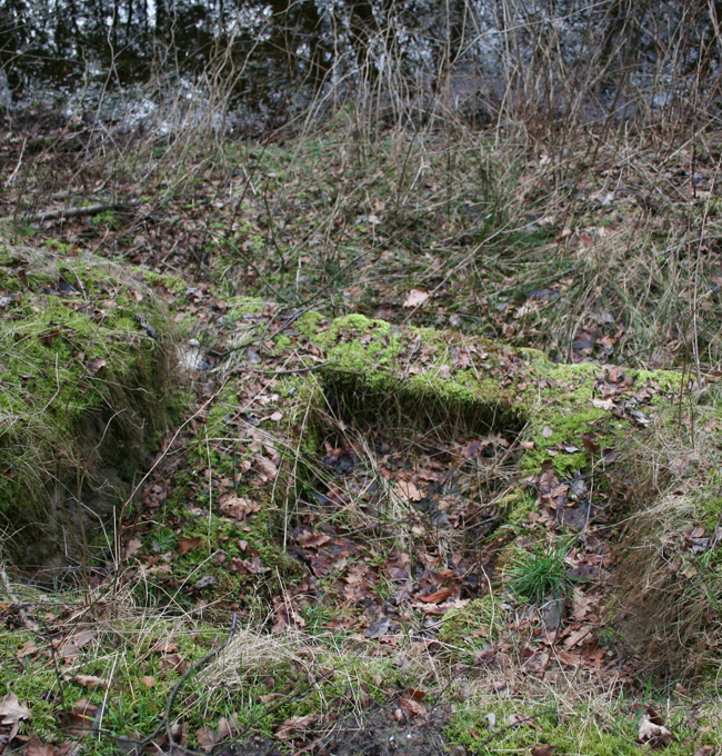 Camp Area