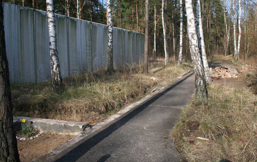 Camp Area