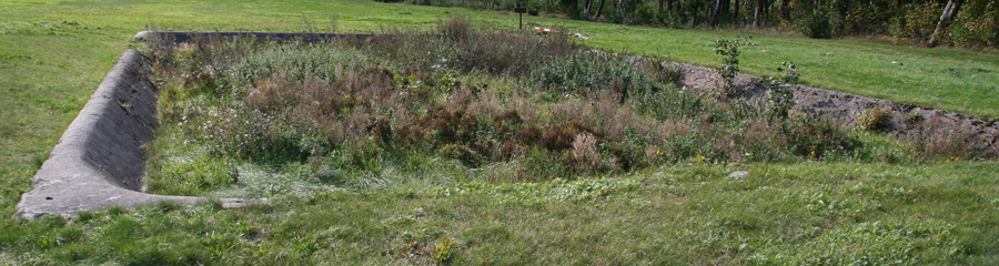 Camp Area