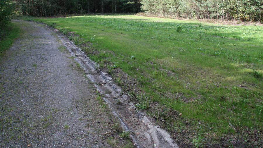 Camp Area