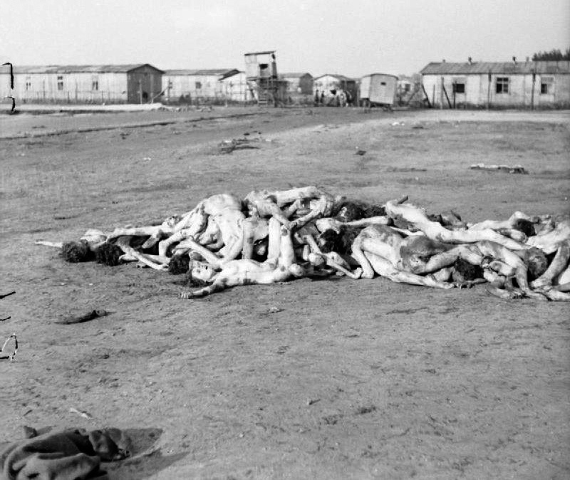 Camp Area