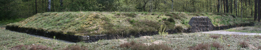 Mass Grave