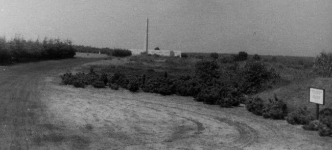 Mass Grave