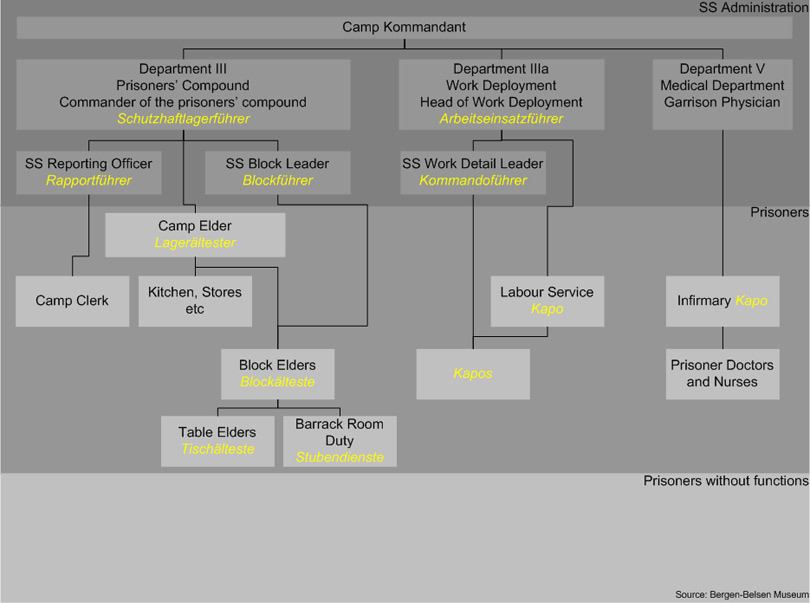 Belsen Organisation