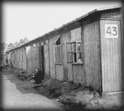 Belsen Buildings