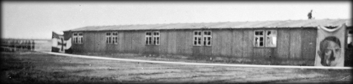 Camp Area