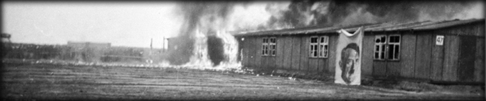 Camp Area