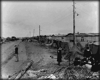 Camp Area
