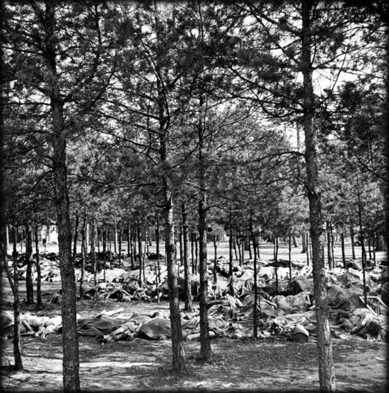 Camp Area