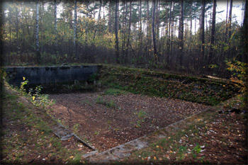 Camp Area