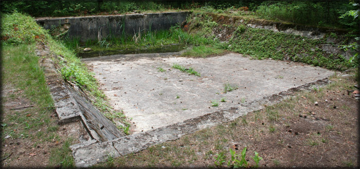 Camp Area