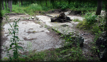 Camp Area