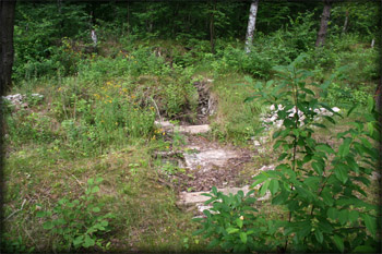 Camp Area
