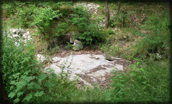 Camp Area