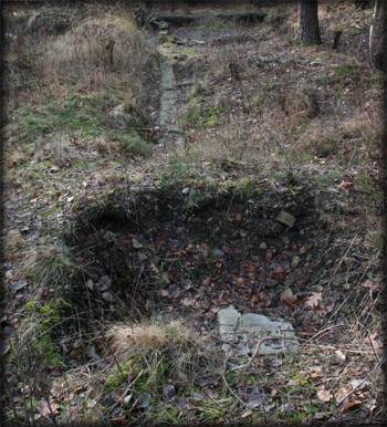 Camp Area