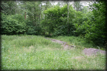 Camp Area