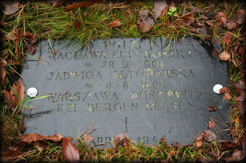 Grave Image